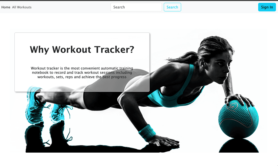 Workout Tracker